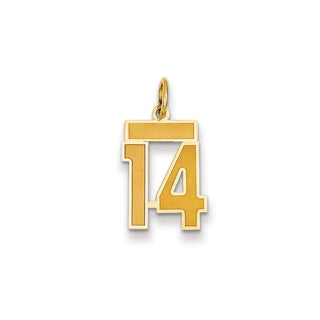 14k Yellow Gold Small Satin Number 14 Charm
