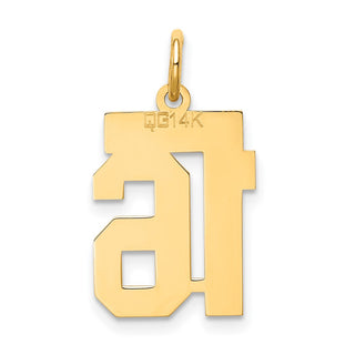 14k Yellow Gold Small Satin Number 16 Charm