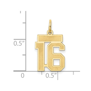14k Yellow Gold Small Satin Number 16 Charm