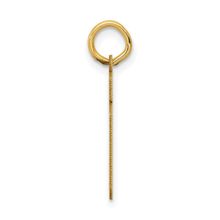 14k Yellow Gold Small Satin Number 19 Charm