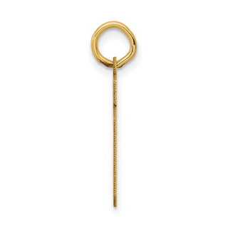 14k Yellow Gold Small Satin Number 19 Charm