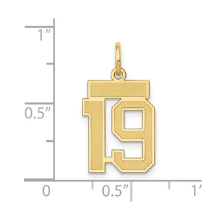 14k Yellow Gold Small Satin Number 19 Charm