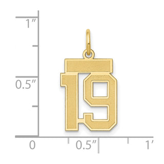 14k Yellow Gold Small Satin Number 19 Charm