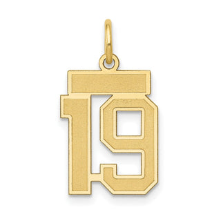 14k Yellow Gold Small Satin Number 19 Charm