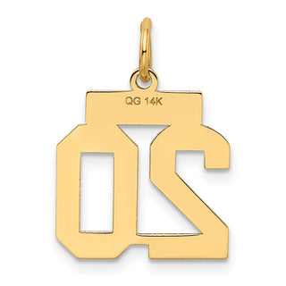14k Yellow Gold Small Satin Number 20 Charm