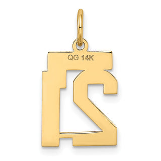 14k Yellow Gold Small Satin Number 21 Charm