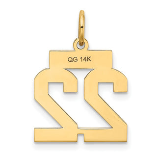 14k Yellow Gold Small Satin Number 22 Charm