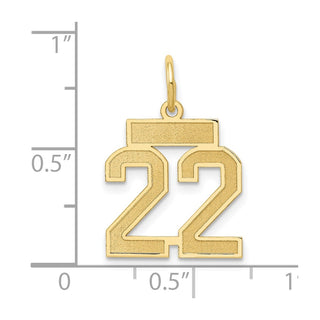 14k Yellow Gold Small Satin Number 22 Charm
