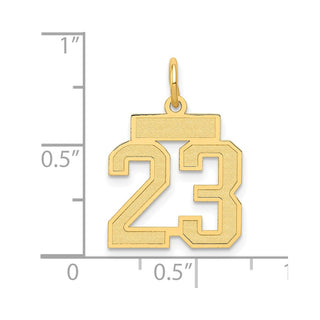 14k Yellow Gold Small Satin Number 23 Charm