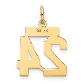 14k Yellow Gold Small Satin Number 24 Charm