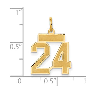 14k Yellow Gold Small Satin Number 24 Charm