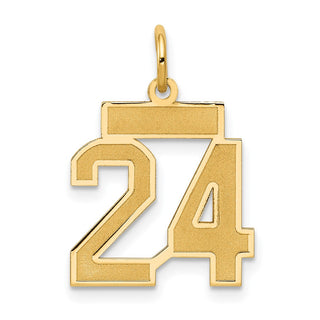 14k Yellow Gold Small Satin Number 24 Charm