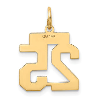 14k Yellow Gold Small Satin Number 25 Charm