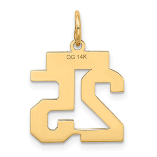 14k Yellow Gold Small Satin Number 25 Charm