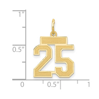 14k Yellow Gold Small Satin Number 25 Charm