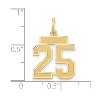 14k Yellow Gold Small Satin Number 25 Charm