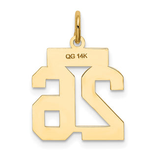 14k Yellow Gold Small Satin Number 26 Charm