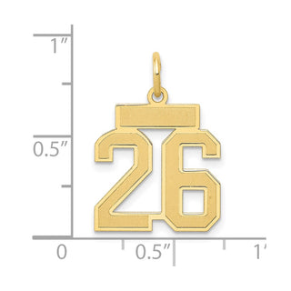 14k Yellow Gold Small Satin Number 26 Charm