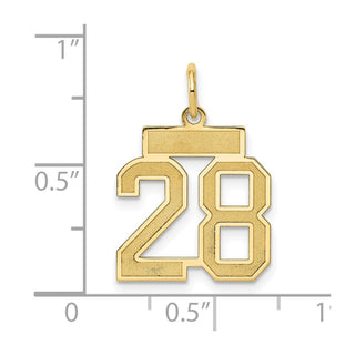14k Yellow Gold Small Satin Number 28 Charm