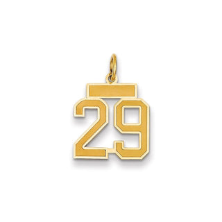 14k Yellow Gold Small Satin Number 29 Charm