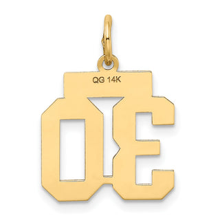 14k Yellow Gold Small Satin Number 30 Charm