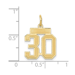 14k Yellow Gold Small Satin Number 30 Charm
