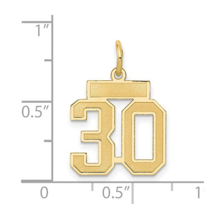 14k Yellow Gold Small Satin Number 30 Charm