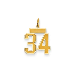 14k Yellow Gold Small Satin Number 34 Charm