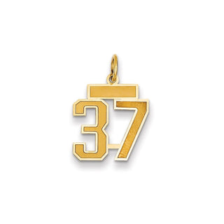 14k Yellow Gold Small Satin Number 37 Charm