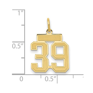 14k Yellow Gold Small Satin Number 39 Charm