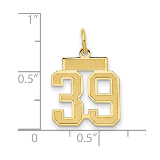 14k Yellow Gold Small Satin Number 39 Charm