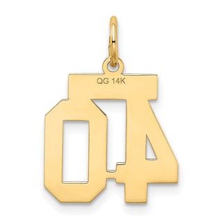 14k Yellow Gold Small Satin Number 40 Charm