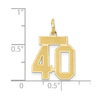 14k Yellow Gold Small Satin Number 40 Charm