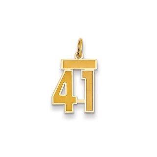 14k Yellow Gold Small Satin Number 41 Charm