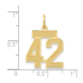 14k Yellow Gold Small Satin Number 42 Charm