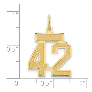 14k Yellow Gold Small Satin Number 42 Charm