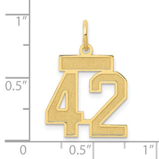 10k Yellow Gold Small Satin Number 42 Charm