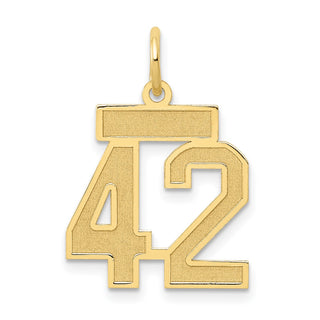 14k Yellow Gold Small Satin Number 42 Charm