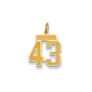 14k Yellow Gold Small Satin Number 43 Charm