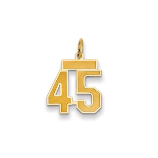 14k Yellow Gold Small Satin Number 45 Charm