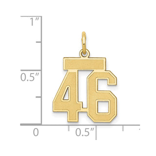 14k Yellow Gold Small Satin Number 46 Charm