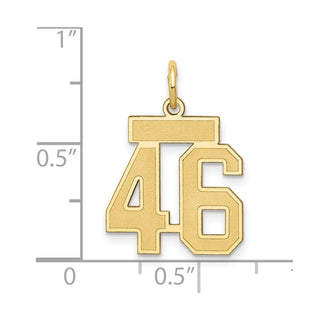 14k Yellow Gold Small Satin Number 46 Charm