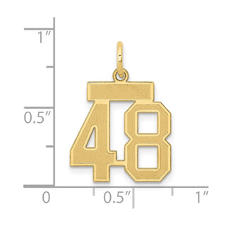14k Yellow Gold Small Satin Number 48 Charm
