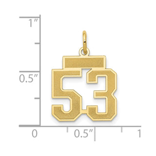 14k Yellow Gold Small Satin Number 53 Charm
