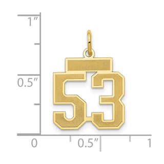 14k Yellow Gold Small Satin Number 53 Charm