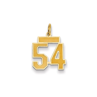14k Yellow Gold Small Satin Number 54 Charm
