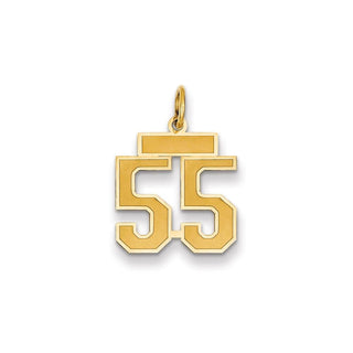 14k Yellow Gold Small Satin Number 55 Charm