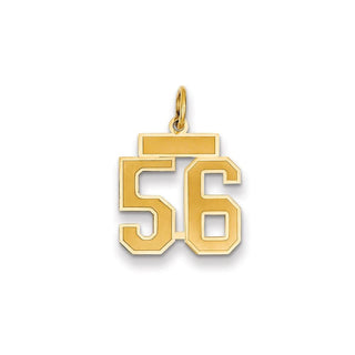 14k Yellow Gold Small Satin Number 56 Charm