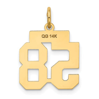 14k Yellow Gold Small Satin Number 58 Charm
