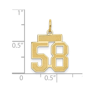 14k Yellow Gold Small Satin Number 58 Charm